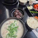 사우로 R 이미지