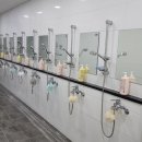 스윔 스타즈 이미지