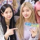 다연에너지 이미지