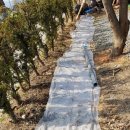 농장풀물 이미지