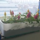 주식회사 일진글로벌 - 제천시 봉양읍 | 주식회사 일진글로벌
