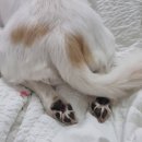 차호로록 | 12주차 : 일주일이 호로록