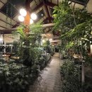 오리와 쭈꾸미 이미지