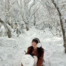 겨울 제주 여행 가볼 만한 곳 &lt;한라산 1100고지&gt;에서 눈사람+눈 오리 만들기