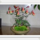 재영이네집 이미지