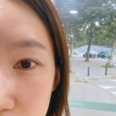 러빈래쉬