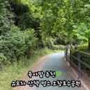 유모차 산책 완전 추천! 오창호수공원 리뷰