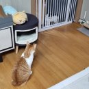 홈플러스 거제점 | 거제 홈플러스 가구점 제우스가구_내돈내산 책상구매후기