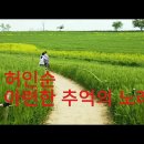 밀밭길 추억 - 허인순( MBC라디오 드라마 &#39;사랑의 계절&#39;OST) 1980 이미지