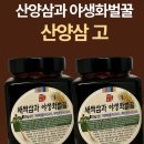 초담유통 네이버블로그