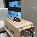 펫 뜰 | 강아지 입양후기 (with 고양시 동물보호센터 반려온뜰)