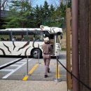 돌전아기와 에버랜드 리버트레일 어드벤처 예약방법 가격 후기