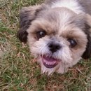 화성4리 이미지