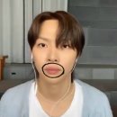팀보 이미지