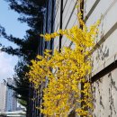 칠표연탄공장 이미지