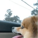 사회적협동조합 파란나라 이미지