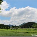 순창전통시장 터미널 이미지