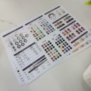 에스이 이미지디자인랩 : 잠실 웨딩 퍼스널 컨설팅(웨딩 퍼스널컬러 + 골격진단)
