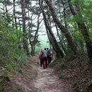 구룡계곡 순환코스 이미지