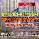 평택브레인시티공인중개사사무소 | 평택 브레인시티 엘타워 상가 임대 분양 지금 기회인 이유