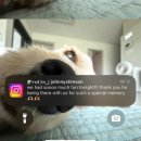 90개러지 | 조니스팀슨Johnny Stimson 내한공연 무신사개러지 스탠딩 136번 후기