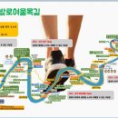 금강솔바람길 이미지