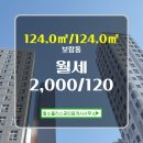 황소부동산공인중개사사무소 | 상가 전문부동산 2,000/120 - 황소플러스공인중개사사무소