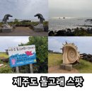CU 영락공원점 | 있는 곳 남방큰돌고래 돌고래 스팟추천, 출몰시간, 꿀팁 정보!! + 돌고래 보는건 쉽지 않았다! 현실 후기