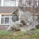 대전신흥초등학교 이미지