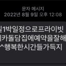 마레카 이미지