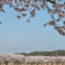 사초경로당 이미지