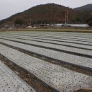 온고이지신 이미지