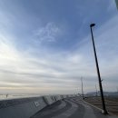 소사이어티에스호텔해운대 | 해운대 마린시티 모모스커피 | 나만 알고 싶은 아침 힐링 성지 (feat. 에스쇼콜라 라떼)