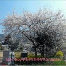 토지초등학교연곡분교장 이미지