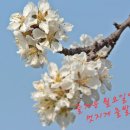 동영사 이미지