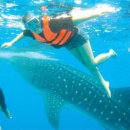 화려한휴식 이미지