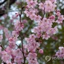 부산배화학교 이미지