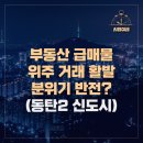 동탄역시범우남퍼스트빌 급매물 소진(동탄2신도시 분위기 반전?) 이미지