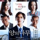 나무와 친해지기 이미지