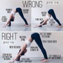 골반을 교정하고 전신의 피로를 풀어주는 요가 | 야탑역피티, 헬스 골반스트레칭 3편 코어&amp;후면 사슬 기능활성화 운동, 다운독 스트레칭