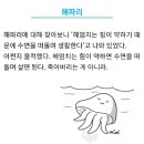 일상작업실