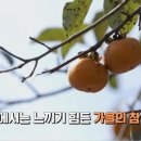 퍼주는농산물