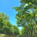 생곡목장2 | <강원도 홍천>비발디파크 소노문🏡✨ | 하늘 양떼목장, 레전드 히어로즈 등 부대시설 추천