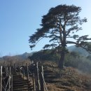 고향어탕국수 이미지