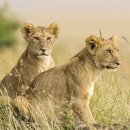 마라천국 이미지