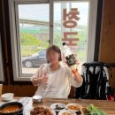 대중교통 타고 호명산 잣나무 숲속 캠핑장 가기