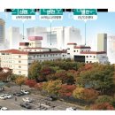 보람병원 산후조리원 네이버블로그