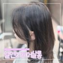 창원미용실 엘엔지헤어살롱 손질하기쉬운 단발펌 보더펌