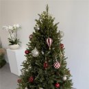 동산동-21 | [동산동 꽃집] 화이트&amp;그린 꽃다발, 플레르로베에서 오더 후 픽업한 후기🌿🤍