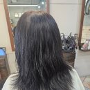 김찬헤어 이미지